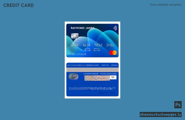 USA Raymond James Financial Bank Mastercard Beispielvorschau